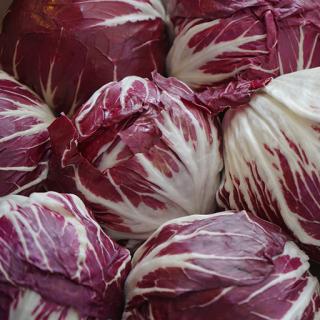 Bio-Salat Radicchio