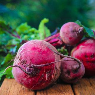 Bio-Rote Bete