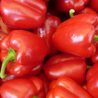 Bio-Paprika rot