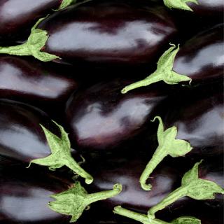 Bio-Aubergine