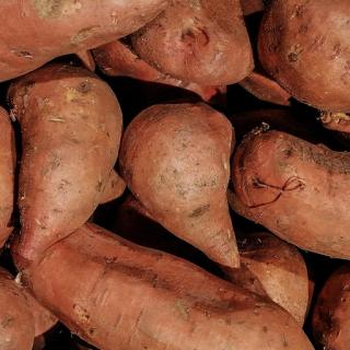 Bio-Bataten