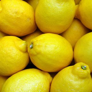 Bio-Zitronen