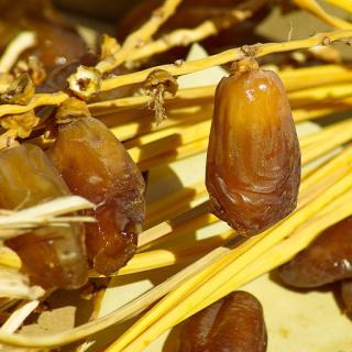 Bio-Datteln "Medjhul"