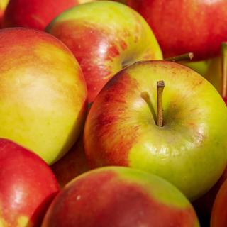 Bio-Apfel "Jonagored"