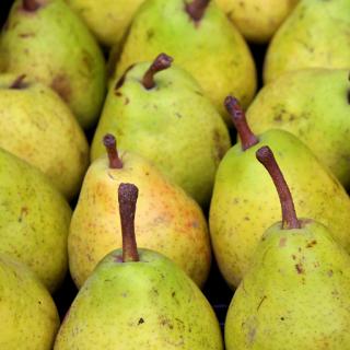 Bio-Birnen "Packham"